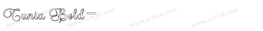 Cunia Bold字体转换